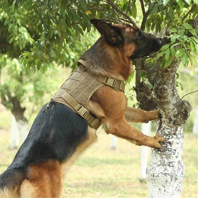 Tactical Dog Harness Military Training  Padded Quick Release Vest Pet Training Dog Harness For Set Small Medium Large Dogs