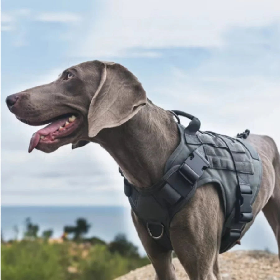 Arnés Táctico Militar para Perros Chaleco Acolchado de Liberación Rápida para Entrenamiento de Mascotas, Arnés de Entrenamiento para Perros Pequeños, Medianos y Grandes