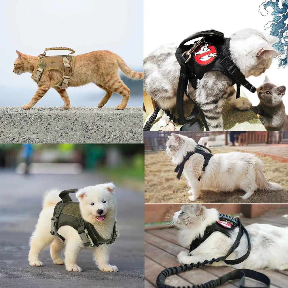 Harnais tactique pour chat et chien – Gilet réglable anti-évasion