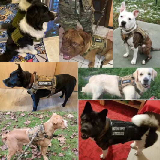 Tactical Dog Harness – Military Padded Quick-Release Vest for Small, Medium & Large Dogs – Outdoor Training