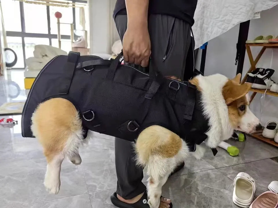 Pet Travel Backpack – Durable Oxford Fabric Shoulder Carrier for Cats & Dogs – 3 Sizes for Hiking & Walking