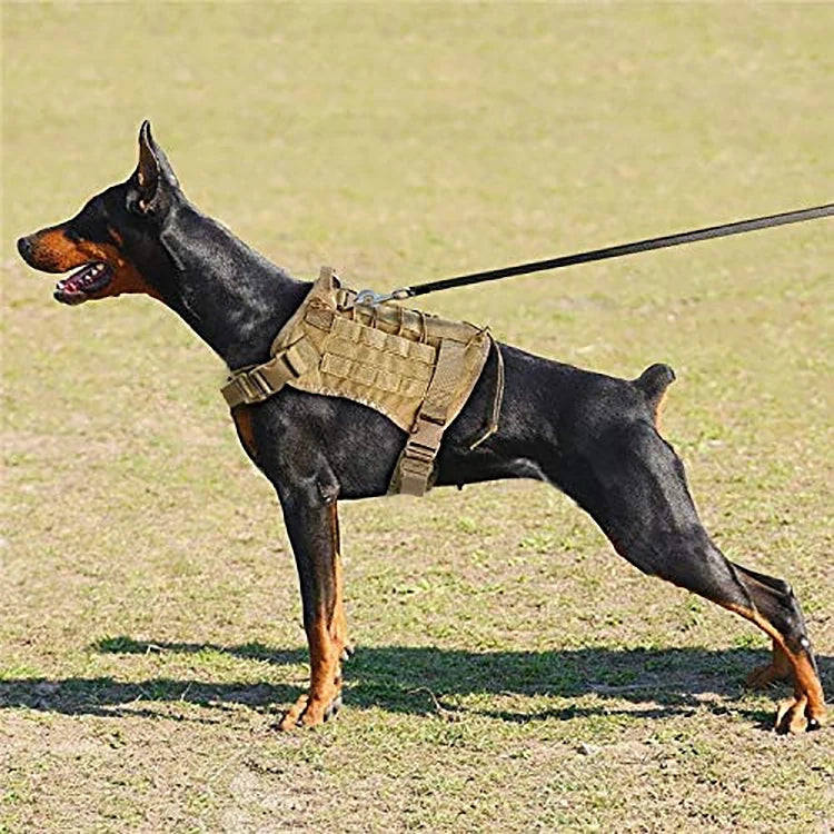 Tactical Dog Harness Military Training  Padded Quick Release Vest Pet Training Dog Harness For Set Small Medium Large Dogs