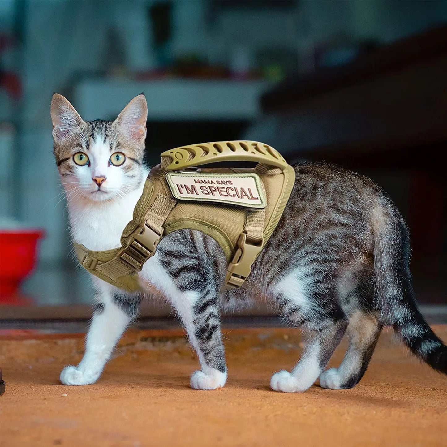 Harnais tactique pour chat et chien – Gilet réglable anti-évasion