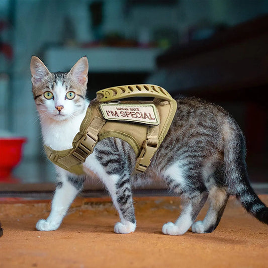 Tactical Cat Harness – Escape-Proof Adjustable Mesh Vest with Control Handle for Walking Large Cats & Small Dogs