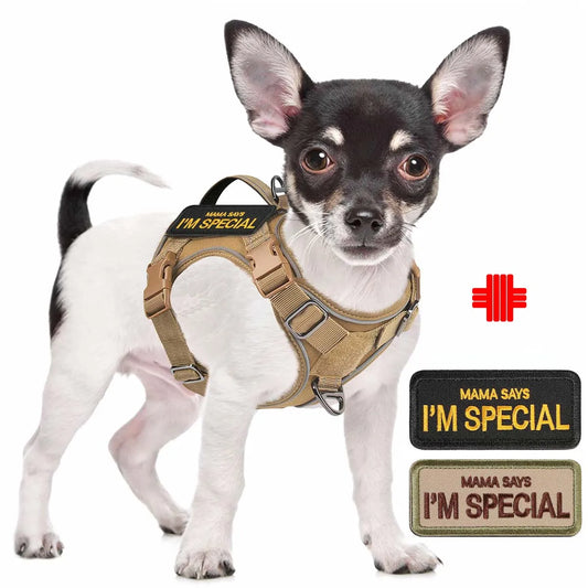 Tactical Dog Harness for Small Dogs – Military Service Vest with Vertical Handle & Reflective Strip for Outdoor Training